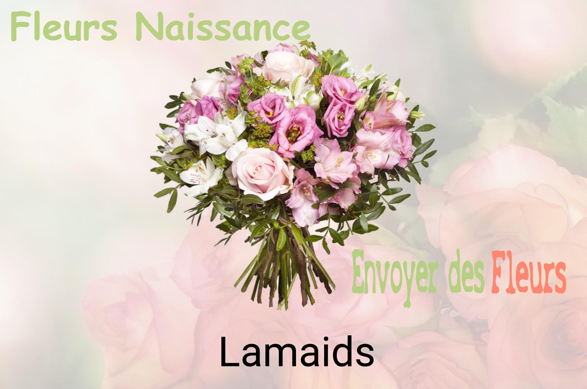 Bouquet de fleurs de naissance livré à Lamaids